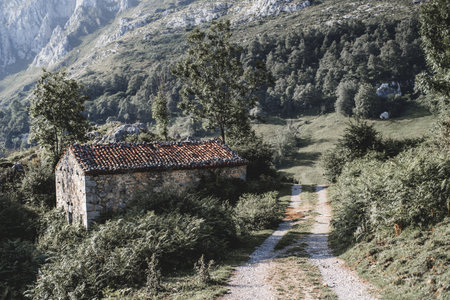 Rustic stone house with red tiled roof nestled in lush green hills of Asturias, Spain, along a gravel path with mountainous landscape and dense forest in soft morning lightの写真素材