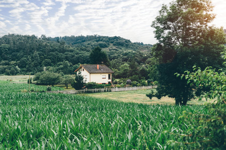 Idyllic countryside house surrounded by lush gardens, dense forest, and a vibrant green cornfield under a partly cloudy sky, evoking tranquility and rural charm in a natural landscapeの写真素材