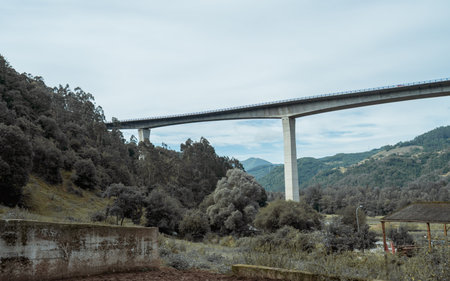 Modern concrete highway bridge spanning across a lush green valley in Asturias, Spain, with tall supporting pillars rising above dense forest and distant rolling mountains under a cloudy skyの写真素材