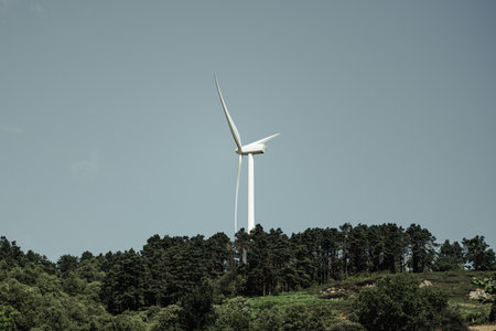 Large white wind turbine rises above a dense green forest on a clear day, symbolizing clean energy,...