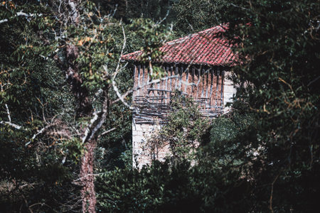 Traditional Asturian horreo partially hidden by dense green foliage, featuring a weathered wooden upper structure and red tiled roof, symbolizing rural heritage and historic grain storage in northern Spainの写真素材