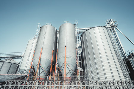 Modern agricultural silos made of corrugated metal under clear blue sky, used for storing grain or feed, with ladders, structural frames, and industrial piping visible in a clean farming facilityの写真素材