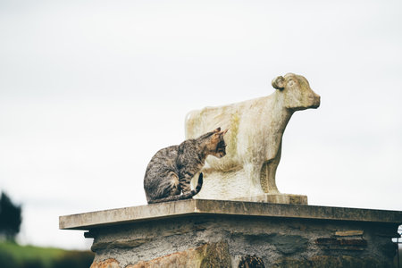 Curious tabby cat balances on a rustic stone ledge beside an unassuming weather-worn stone cow ornament, creating a whimsical rural scene under an overcast sky with generous copy spaceの写真素材