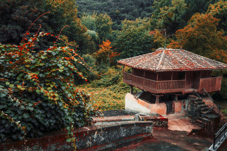 Traditional Asturian horreo granary on stone stilts with a tiled roof and wooden balcony, surrounded...