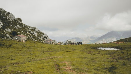emote mountain pasture with small stone huts, grazing horses and cows, and a reflective pond,...