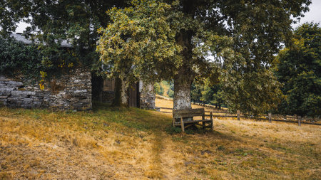 Old Asturian stone house with ivy-covered walls, rustic wooden door, and large chestnut tree with weathered bench, set in peaceful countryside meadow and hillsの写真素材