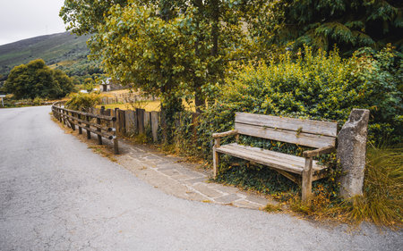 Rustic wooden bench overgrown with ivy by a quiet countryside road, surrounded by green bushes, trees, and wooden fence, offering peaceful rural charm in nature; with a copy space area on the leftの写真素材