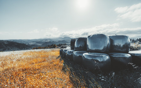Scenic rural landscape with large black plastic wrapped hay bales stacked in a golden field, mountains and forest in the background under bright sun and cloudy skyの写真素材