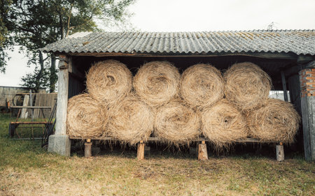 Stack of large round hay bales stored under rustic farm shed with corrugated roof, wooden supports and countryside surroundings, symbol of rural agriculture and harvest seasonの写真素材
