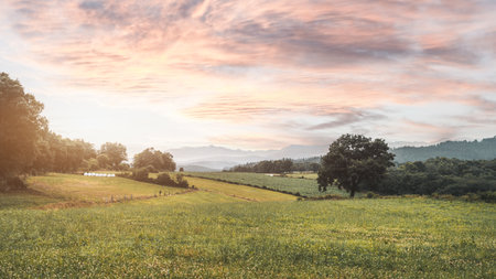 Scenic countryside landscape with green fields, rolling hills, scattered trees and distant mountains under dramatic pink and orange sunset sky creating a peaceful rural atmosphereの写真素材