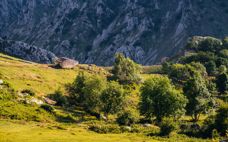 Sunny mountain valley with old stone cottages scattered among green meadows and trees, set against steep rocky cliffs creating a peaceful rural landscapeの写真素材