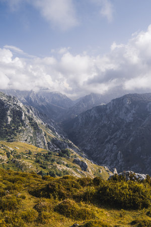 Majestic Picos de Europa mountains in autumn with rugged rocky peaks, golden grassy slopes, scattered forests, and dramatic clouds drifting across the high valley; Asturias, Spain, vertical formatの写真素材