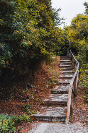 Rustic stone staircase with wooden railing leading uphill through dense green foliage and natural landscape, creating a scenic hiking path in a peaceful forest settingの写真素材