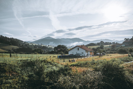 Scenic rural landscape with a white countryside house, red tiled roof, green fields, grazing cows, and misty mountains in the background under a bright morning skyの写真素材