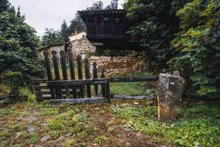 Traditional rustic wooden granary and stone buildings in Asturias, Spain, surrounded by lush greenery, old wooden fence, and overgrown vegetation creating an authentic rural sceneの写真素材