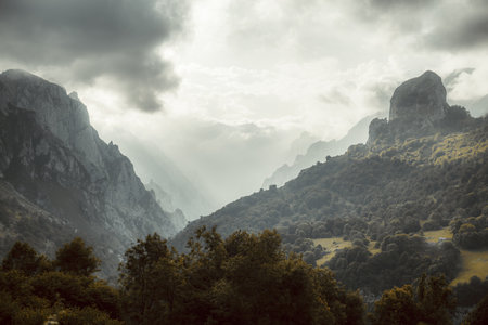 Dramatic mountain landscape of Picos de Europa with misty peaks, rugged cliffs, dense forests, and atmospheric clouds filtering sunlight through the valleyの写真素材