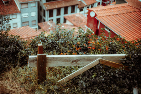 Selective focus on rustic wooden fence and wildflowers with blurred background of traditional red-tiled rooftops and colorful houses in Cudillero, Asturias, Spain; shallow depth of fieldの写真素材
