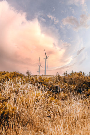 Modern wind turbines rising above tall golden grass and bushes on a hillside, generating renewable energy against a dramatic pastel sunset sky with colorful cloudsの写真素材