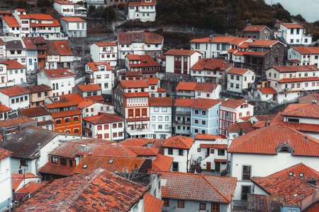 Picturesque view of colorful traditional houses with red tiled roofs in Cudillero, Asturias, Spain, forming a charming coastal hillside village with authentic Mediterranean architectureの写真素材