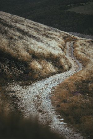 Winding gravel path through golden dry grass on a hillside, captured low-key with telephoto compression. Moody remote landscape of the Camino de Santiago, evoking solitude, journey, and adventureの写真素材