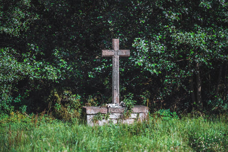 Old stone cross standing on pedestal amid overgrown grass and dense green forest background, symbol of memory and faith in peaceful natural landscape on sunny day; Asturias, Spainの写真素材