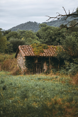 Old abandoned stone hut with red clay tile roof overgrown with ivy and moss, standing in lush green...
