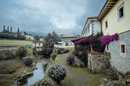 Charming rural scene in Asturias along Camino Primitivo, with stone houses, blooming flowers, a small stream and misty green hills under soft cloudy light of a peaceful morning, wide-angle shotの写真素材