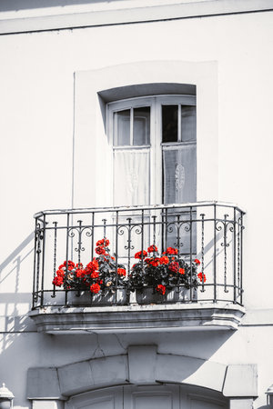 Elegant white facade with wrought iron balcony and vibrant red flowers in pots under soft daylight, capturing the charm of traditional Mediterranean architecture and romantic detailの写真素材