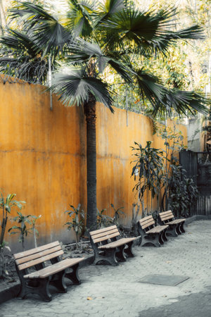 Row of empty wooden benches under tropical palm along yellow wall in vertical format, peaceful outdoor setting ideal for relaxation, waiting area or urban design backgroundの写真素材