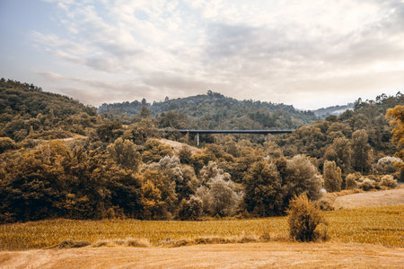 Scenic autumn landscape in Asturias with rolling hills, dense forest, and a bridge stretching across the valley under a soft cloudy sky, viewed from Camino de Santiago trailの写真素材