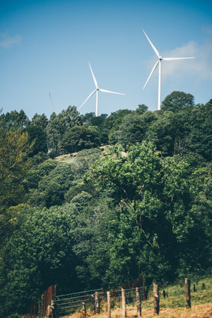 Vertical telephoto shot of white wind turbines rising above lush green forested hills under a clear blue summer sky, symbolizing renewable energy and sustainable rural landscapeの写真素材