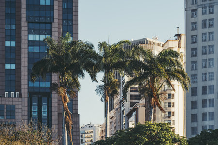 Sunlit palm trees rising against tall urban buildings, blending tropical greenery with modern city architecture for a vibrant metropolitan contrast and warm, late-afternoon atmosphereの写真素材