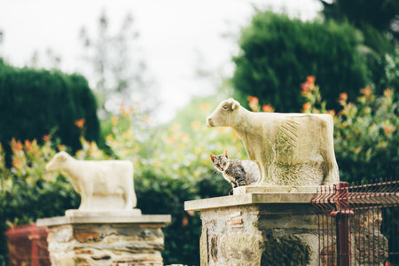 Telephoto shot with selective focus of a tabby cat perched beside a carved stone animal sculpture, set against soft bokeh greenery for a serene, whimsical outdoor sceneの写真素材