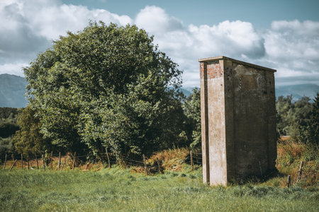 Weathered concrete tower standing in a lush green meadow beside dense trees under bright clouds and...
