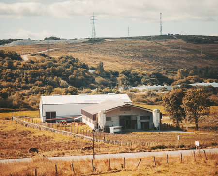 Telephoto autumn view of a rural farm complex in Asturias, with golden fields, grazing animals, rolling hills and power lines under warm light along the Camino de Santiago landscapeの写真素材