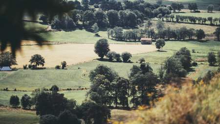 Aerial style view of patchwork farmland with green meadows, harvested field, tree lines and a lone farmhouse, peaceful countryside scenery in soft summer lightの写真素材