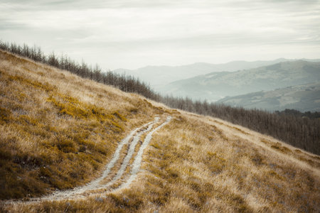 Telephoto view of winding dirt track on dry golden hillside, selective focus, burned tree plantation in distance, hazy mountain layers under cloudy sky, copy spaceの写真素材
