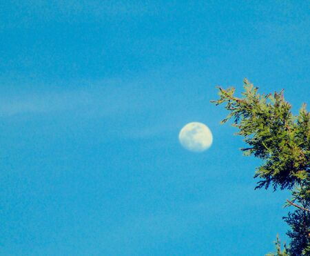 the moonの写真素材