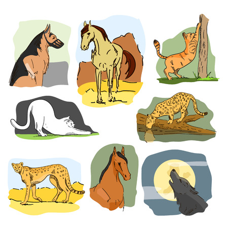 Vector set of wild and home animals. Hand drawn cartoon illustration. Horse, dog, cat, wolf.のイラスト素材
