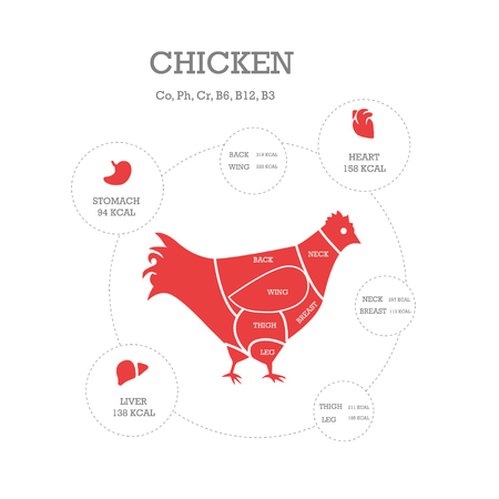 Butcher shop concept vector illustration. Chicken cuts. Animal parts diagram.のイラスト素材