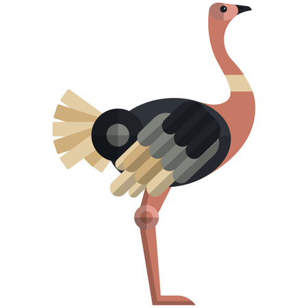 Ostrich Emu poultry bird icon, flat vector isolated illustration. Farm bird. Domestic fowls.のイラスト素材