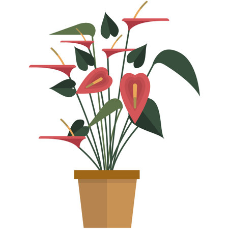 Houseplant with red flower and green leaves flat vectorのイラスト素材