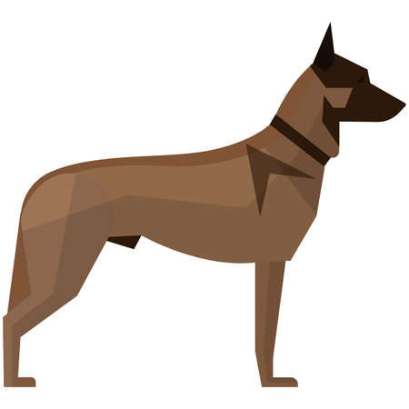Belgian malinois breed dog vector isolated on whiteのイラスト素材