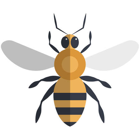 Bee flat vector icon illustration isolated on whiteのイラスト素材