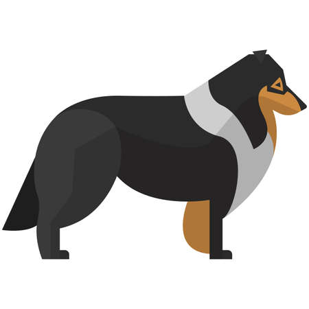 Dog vector black collie border breed isolated illustrationのイラスト素材