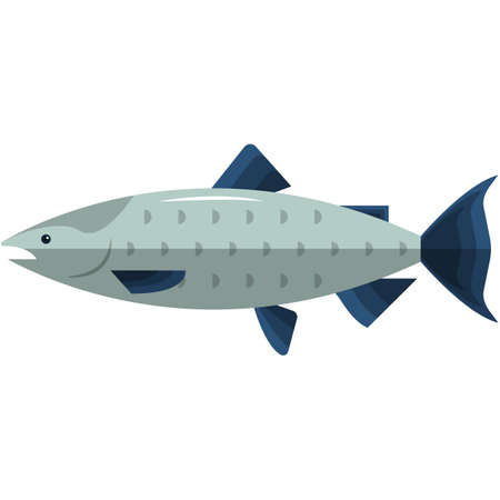 Fish salmon vector illustration icon isolated on whiteのイラスト素材