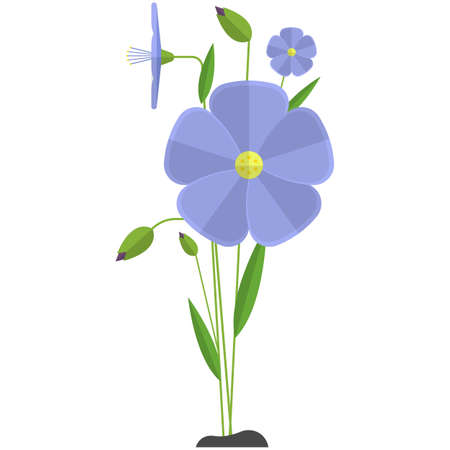 Flax flower vector linen plant illustration iconのイラスト素材