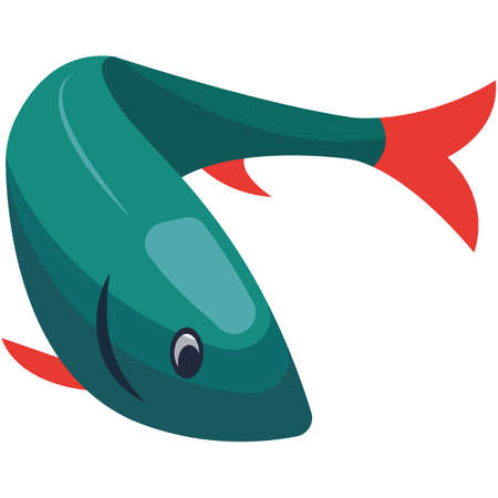 Fish ocean or sea dweller vector illustration on whiteのイラスト素材