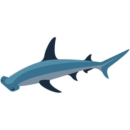 Shark hammer vector, hammerhead fish icon on whiteのイラスト素材