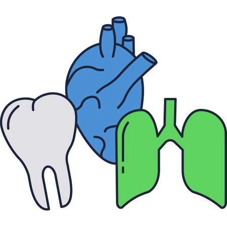 Anatomy icon vector tooth, lungs and heartのイラスト素材